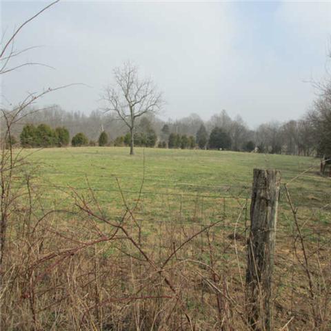 0 Sixteenth Model Road Wartrace, TN 37183 - Photo 3 of 19 a view of an outdoor space and a yard