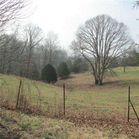 0 Sixteenth Model Road Wartrace, TN 37183 - Photo 4 of 19 a backyard of a house with lots of green space