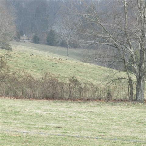 0 Sixteenth Model Road Wartrace, TN 37183 - Photo 7 of 19 a view of a yard
