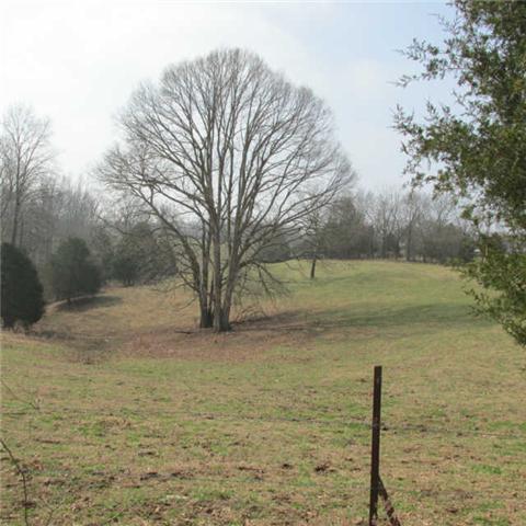 0 Sixteenth Model Road Wartrace, TN 37183 - Photo 8 of 19 a view of a lake with a yard