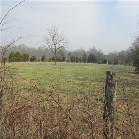 0 Sixteenth Model Road Wartrace, TN 37183 - Photo 9 of 19 a view of an ocean beach