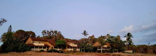 a front view of a building with lot of cars and trees