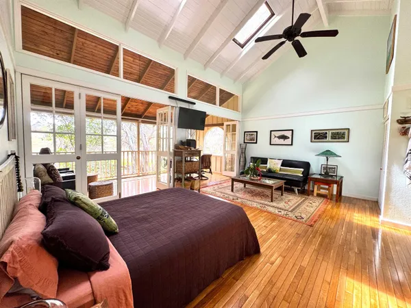 a view of a yard with plants