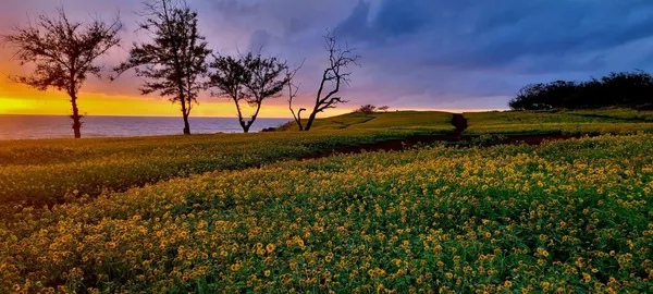 $479,000 | 100 Lio Place, Unit J3, Maunaloa, HI 96770