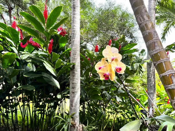 $479,000 | 100 Lio Place, Unit J3, Maunaloa, HI 96770