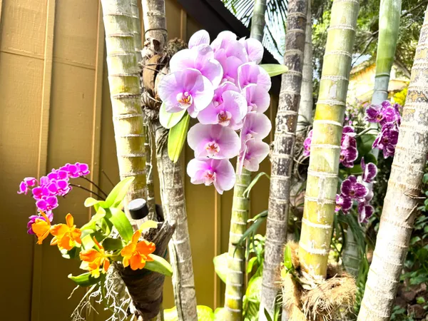 $479,000 | 100 Lio Place, Unit J3, Maunaloa, HI 96770