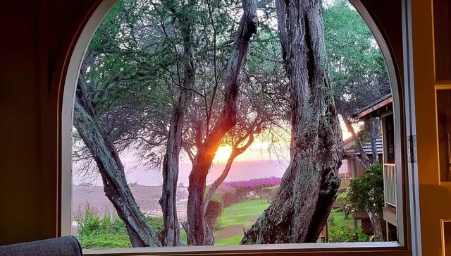 a view of backyard from a window