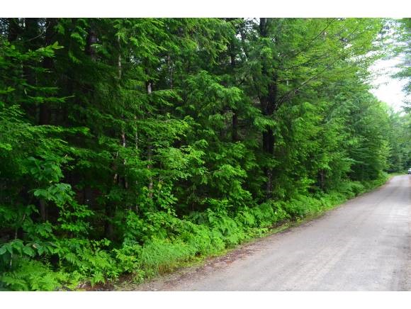 170 Ford MIll Road Danbury, NH 03230 - Photo 1 of 1 Gallery Image 1