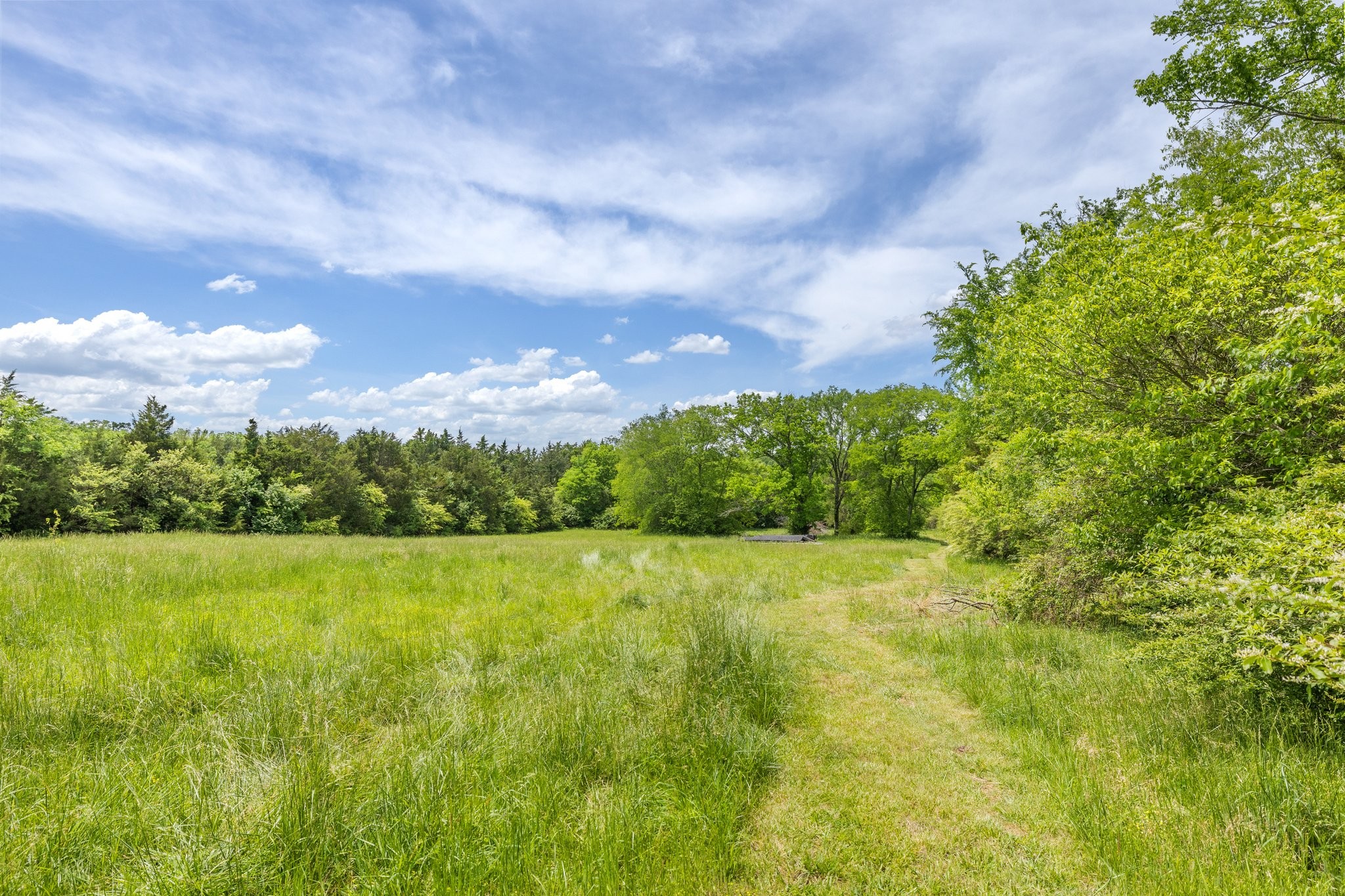 6223 Ladd Road Franklin, TN 37067 - Photo 52 of 67 a view of an outdoor space and a yard