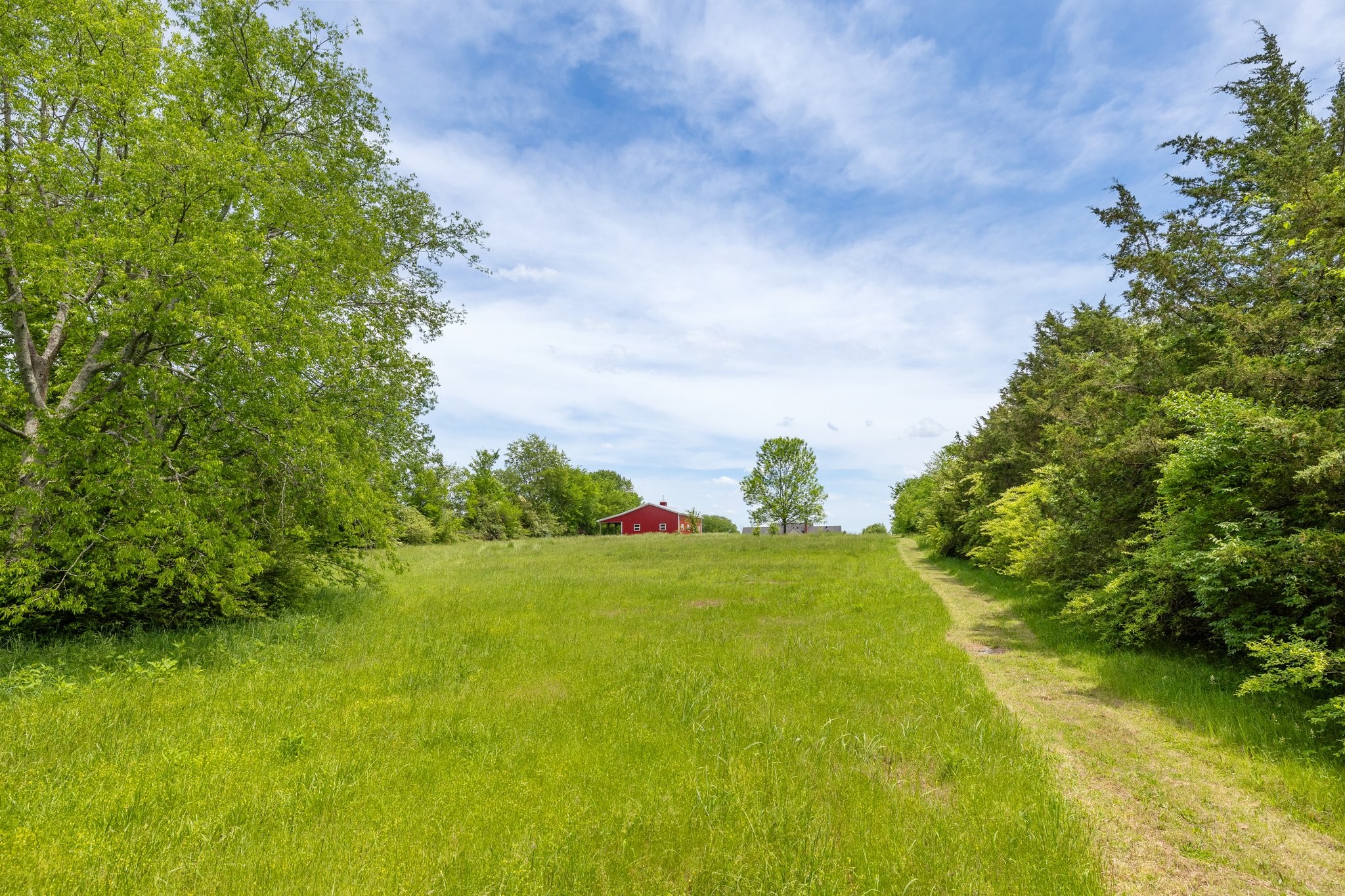 6223 Ladd Road Franklin, TN 37067 - Photo 54 of 67
