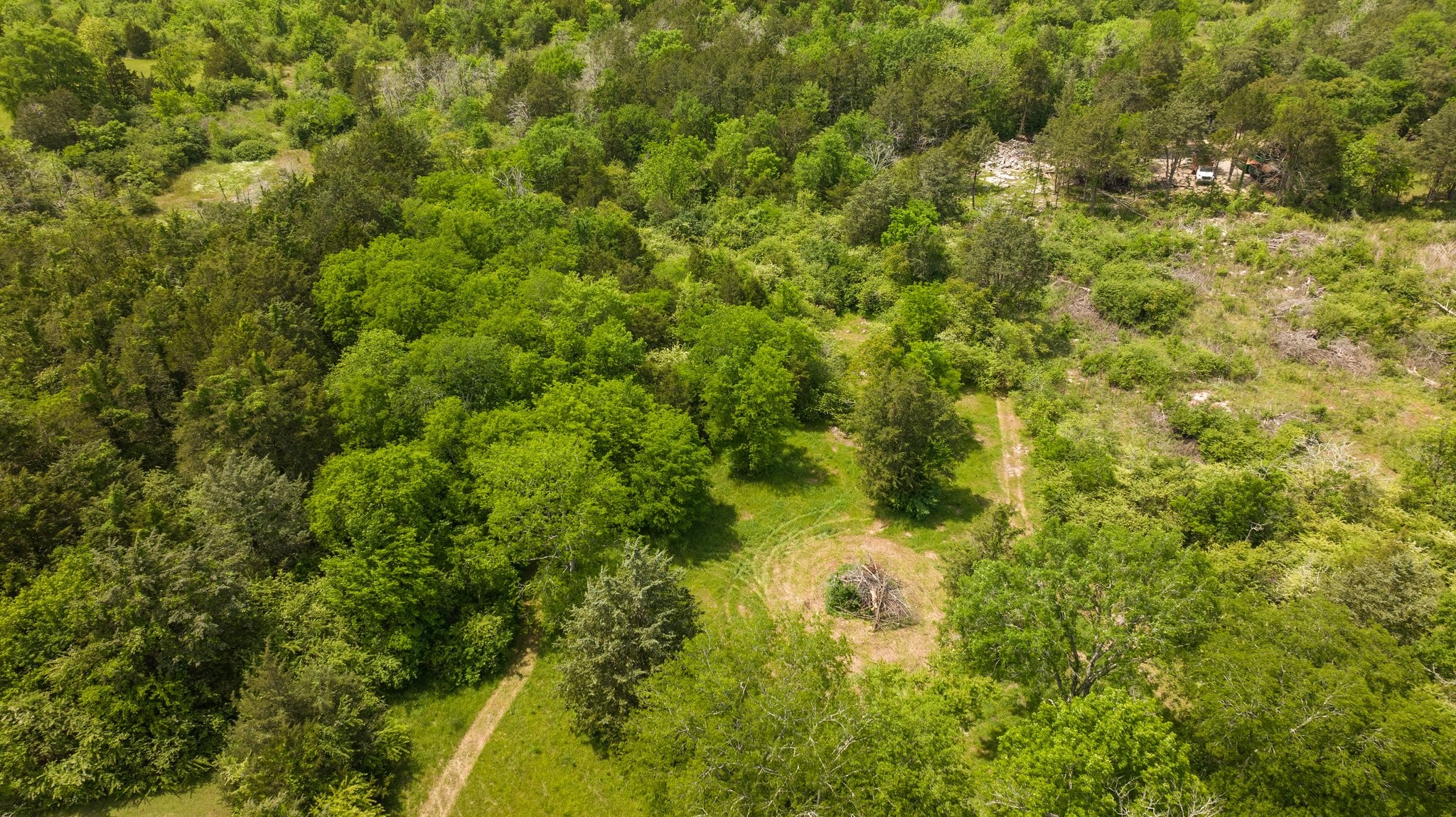 6223 Ladd Road Franklin, TN 37067 - Photo 64 of 67 a view of a big yard with plants and large trees