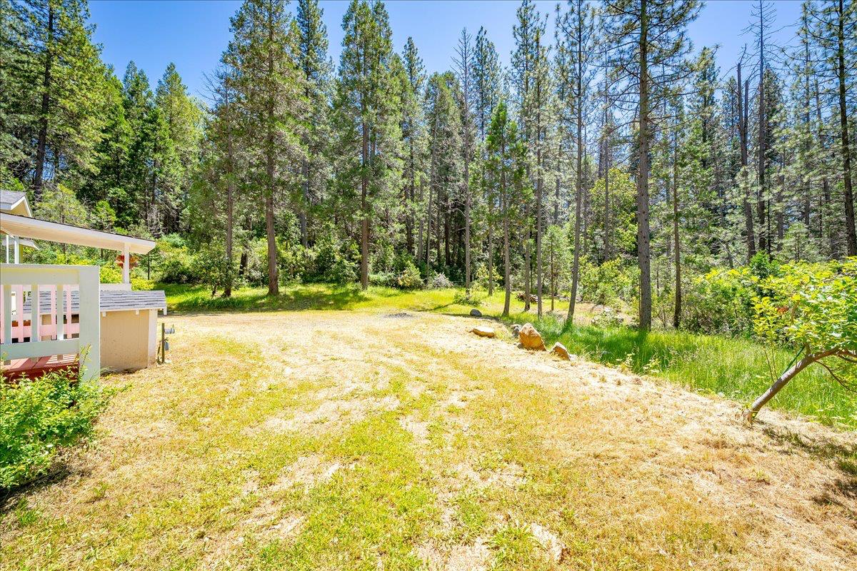 21819 Todd Valley Road Foresthill, CA 95631 - Photo 28 of 37 a view of swimming pool with yard