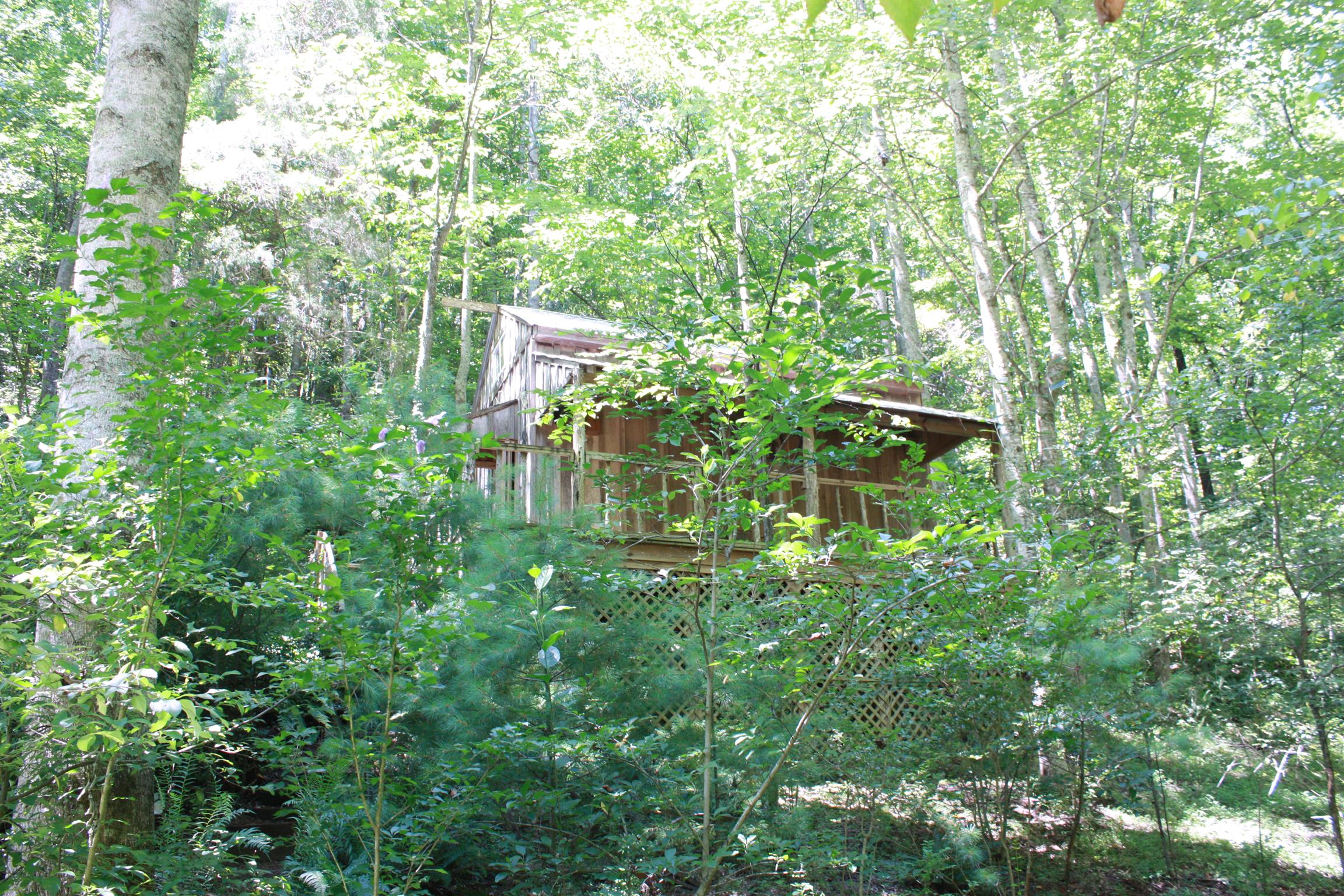 1306 Howell Road Westmoreland, TN 37186 - Photo 3 of 12 Gallery Image 3