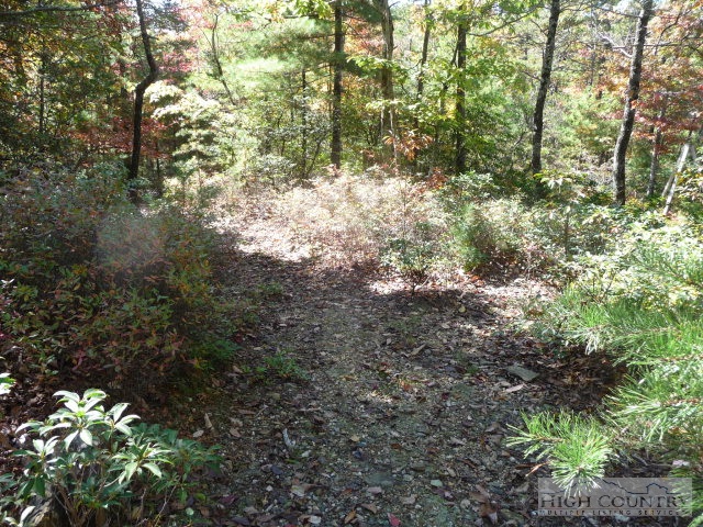 Lost Ridge Road Lenoir, NC 28645 - Photo 11 of 16 Gallery Image 11