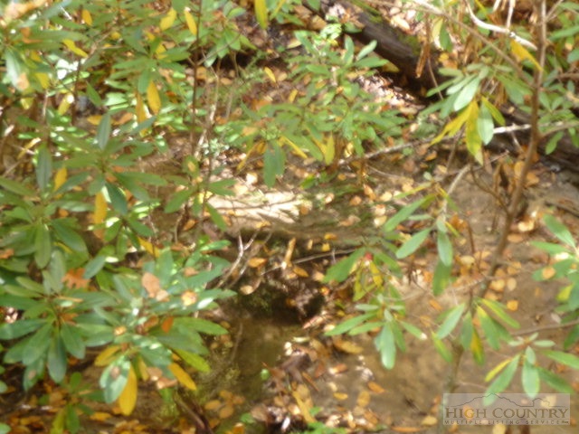 Lost Ridge Road Lenoir, NC 28645 - Photo 12 of 16 Gallery Image 12
