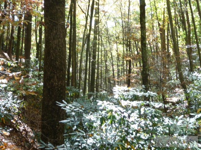Lost Ridge Road Lenoir, NC 28645 - Photo 13 of 16 Gallery Image 13