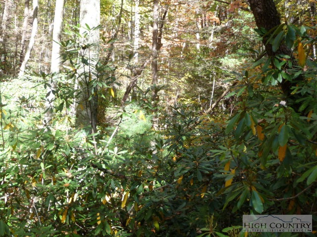 Lost Ridge Road Lenoir, NC 28645 - Photo 14 of 16 Gallery Image 14