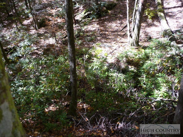 Lost Ridge Road Lenoir, NC 28645 - Photo 5 of 16 Gallery Image 5