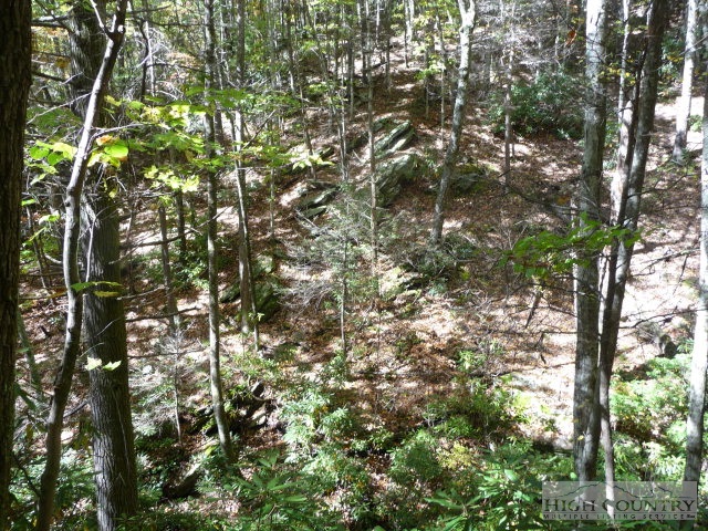 Lost Ridge Road Lenoir, NC 28645 - Photo 6 of 16 Gallery Image 6