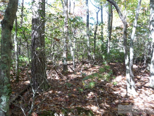 Lost Ridge Road Lenoir, NC 28645 - Photo 7 of 16 Gallery Image 7
