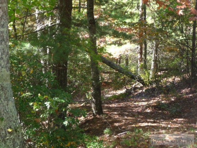 Lost Ridge Road Lenoir, NC 28645 - Photo 10 of 16 Gallery Image 10