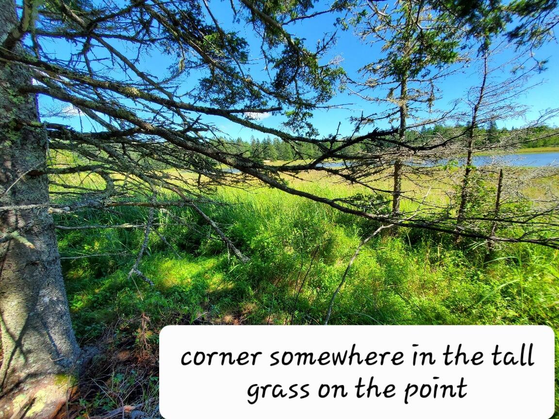 300 Village Road Steuben, ME 04680 - Photo 75 of 80 20230819_132355_resized