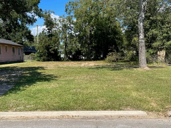 a view of a yard
