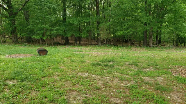 a backyard of a house with lots of green space