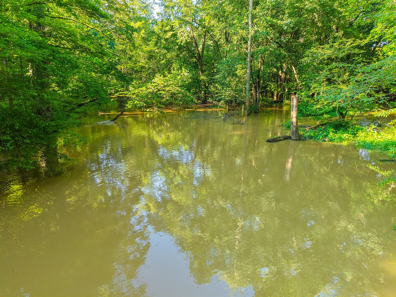 6697 Warren Woods Road Three Oaks, MI 49128 - Photo 86 of 99
