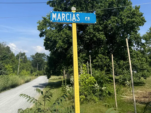 a view of a street with potted plants