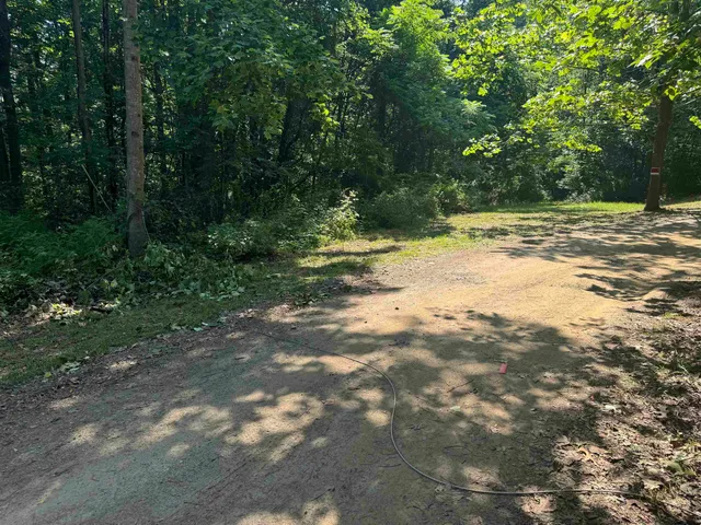 a view of a yard with a tree