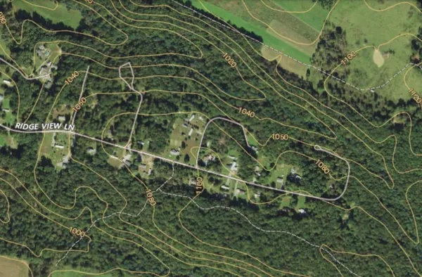 a close up of a plant in a garden