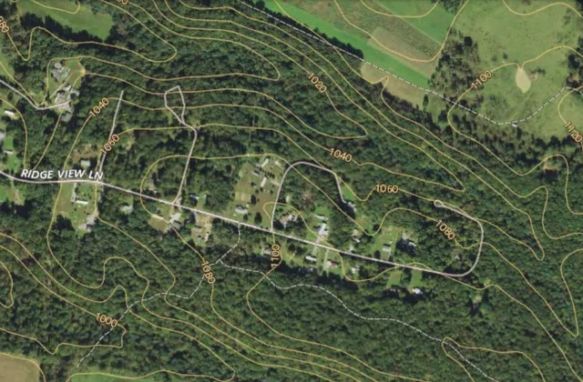 a close up of a plant in a garden