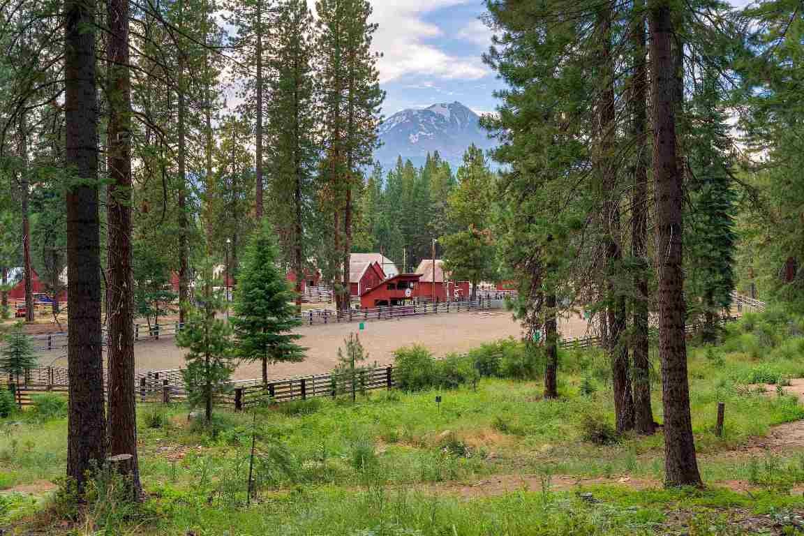 Lot D Timber Country Ranch Road McCloud, CA 96067 - Photo 2 of 16 Gallery Image 2