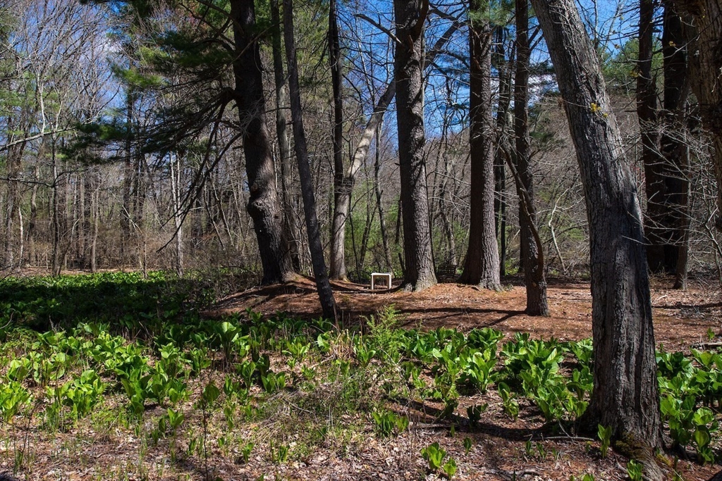 51 Turning Mill Road Lexington, MA 02420 - Photo 29 of 29