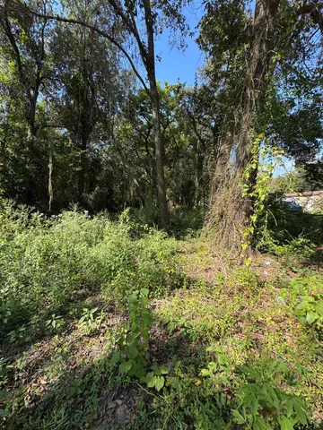 a view of a garden with plants