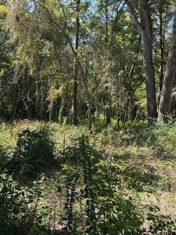 a view of a yard with a tree
