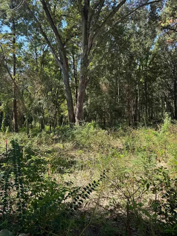 a view of outdoor space and trees