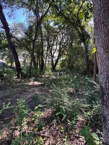 a view of outdoor space with trees