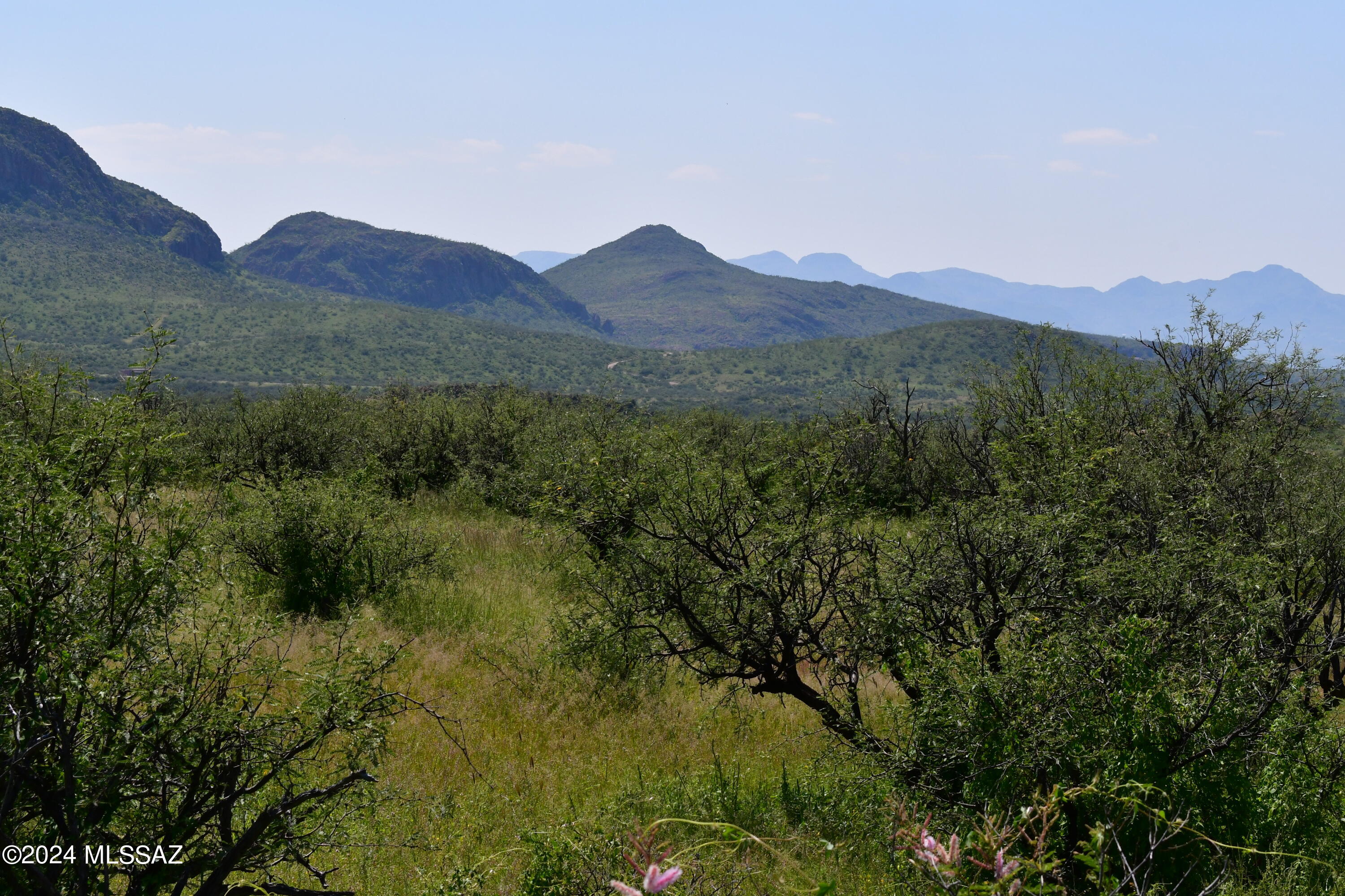 Tbd Tbd Mesquite Trail, Unit 132 Rio Rico, AZ 85648 - Photo 7 of 23