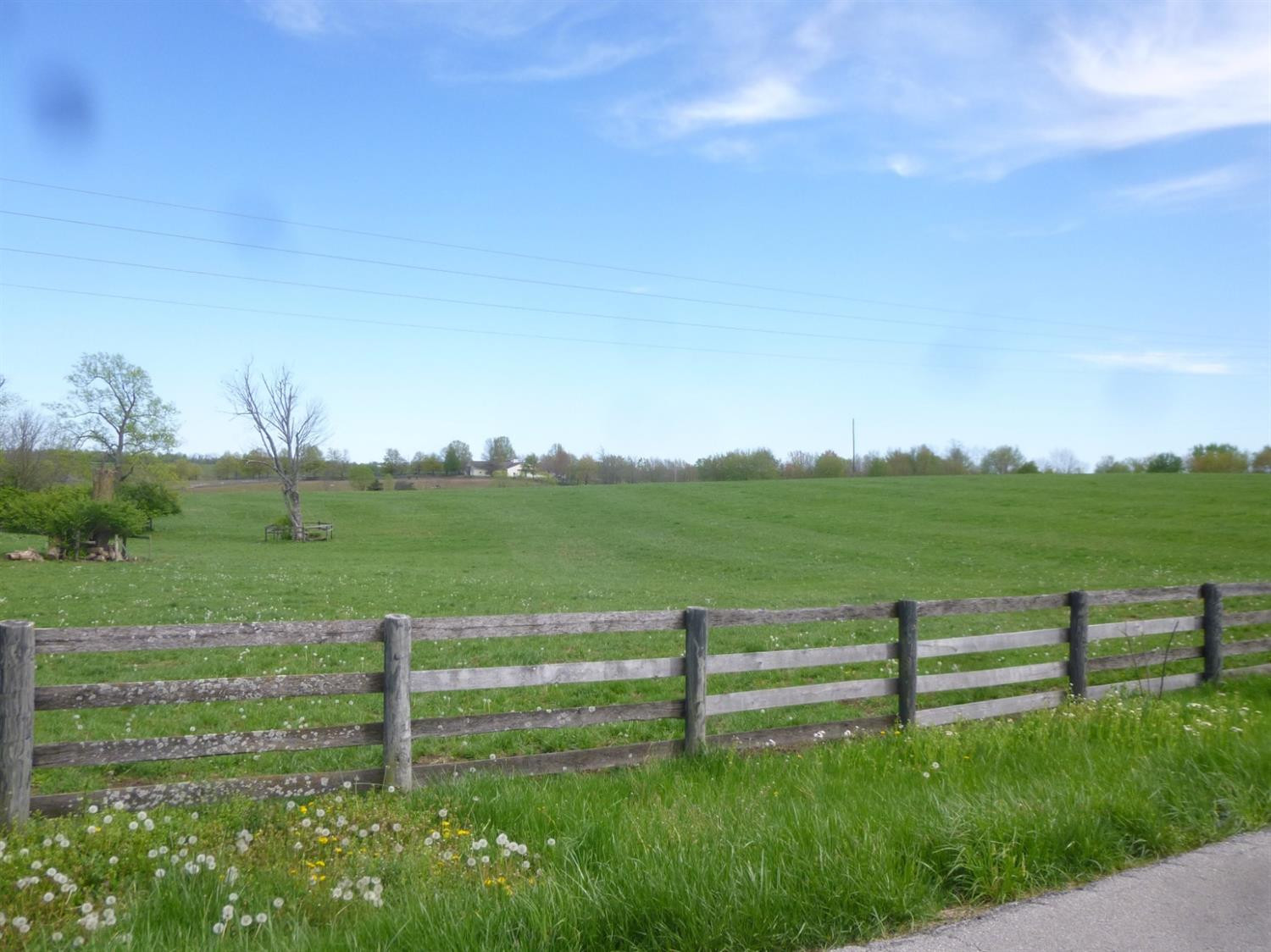 1695 Bethlehem Road Paris, KY 40361 - Photo 15 of 15 Photo 15