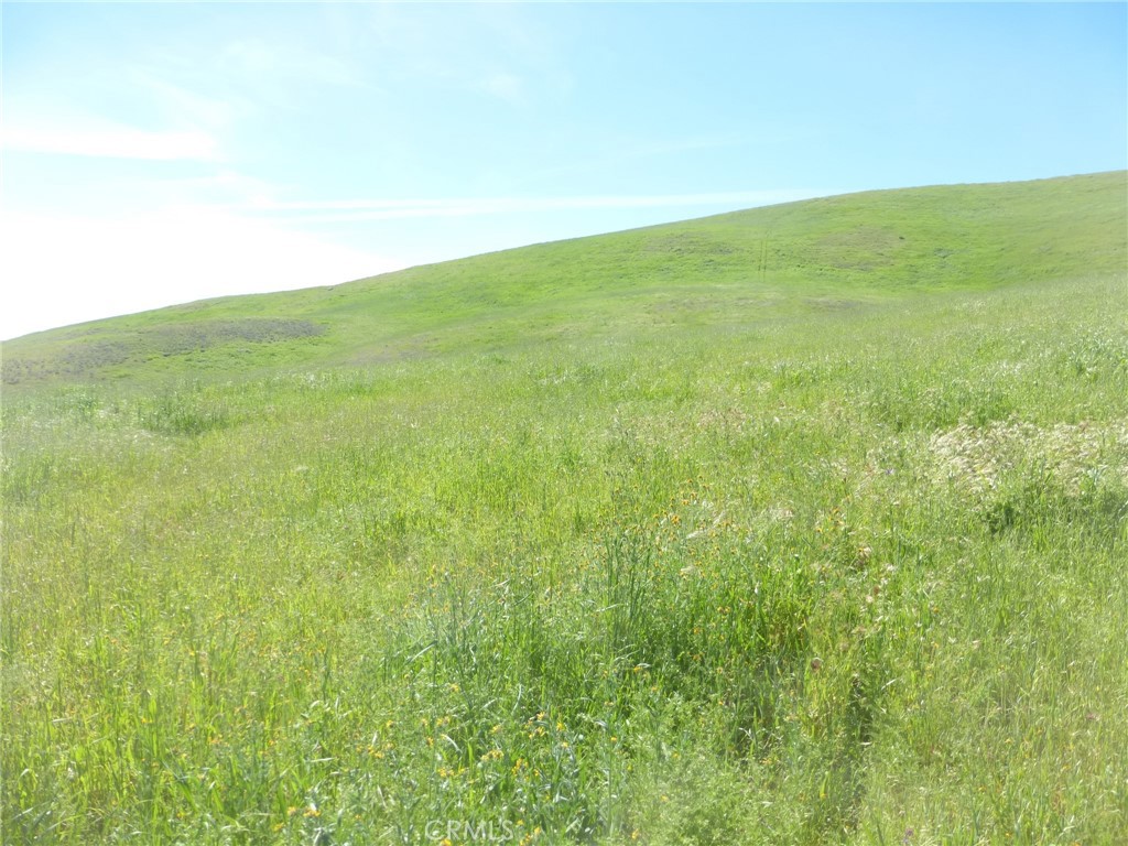 0 Douglas Road San Miguel, CA 93451 - Photo 42 of 44