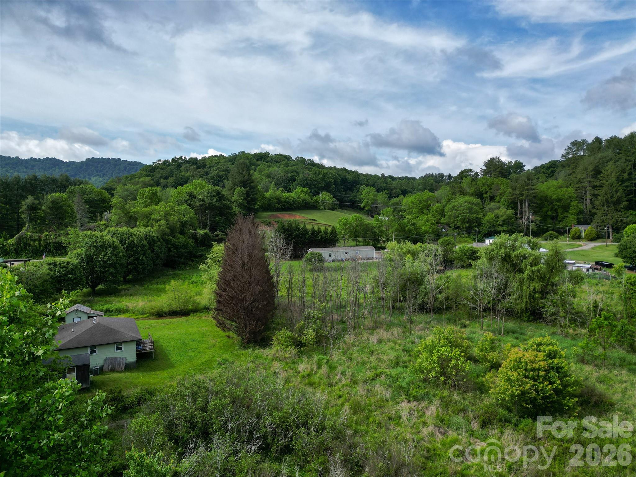 0 Abel Road Canton, NC 28716 - Photo 7 of 9