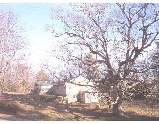 827 Guelphwood Road Southbridge, MA 01550 - Photo 24 of 30 a close up of a tree
