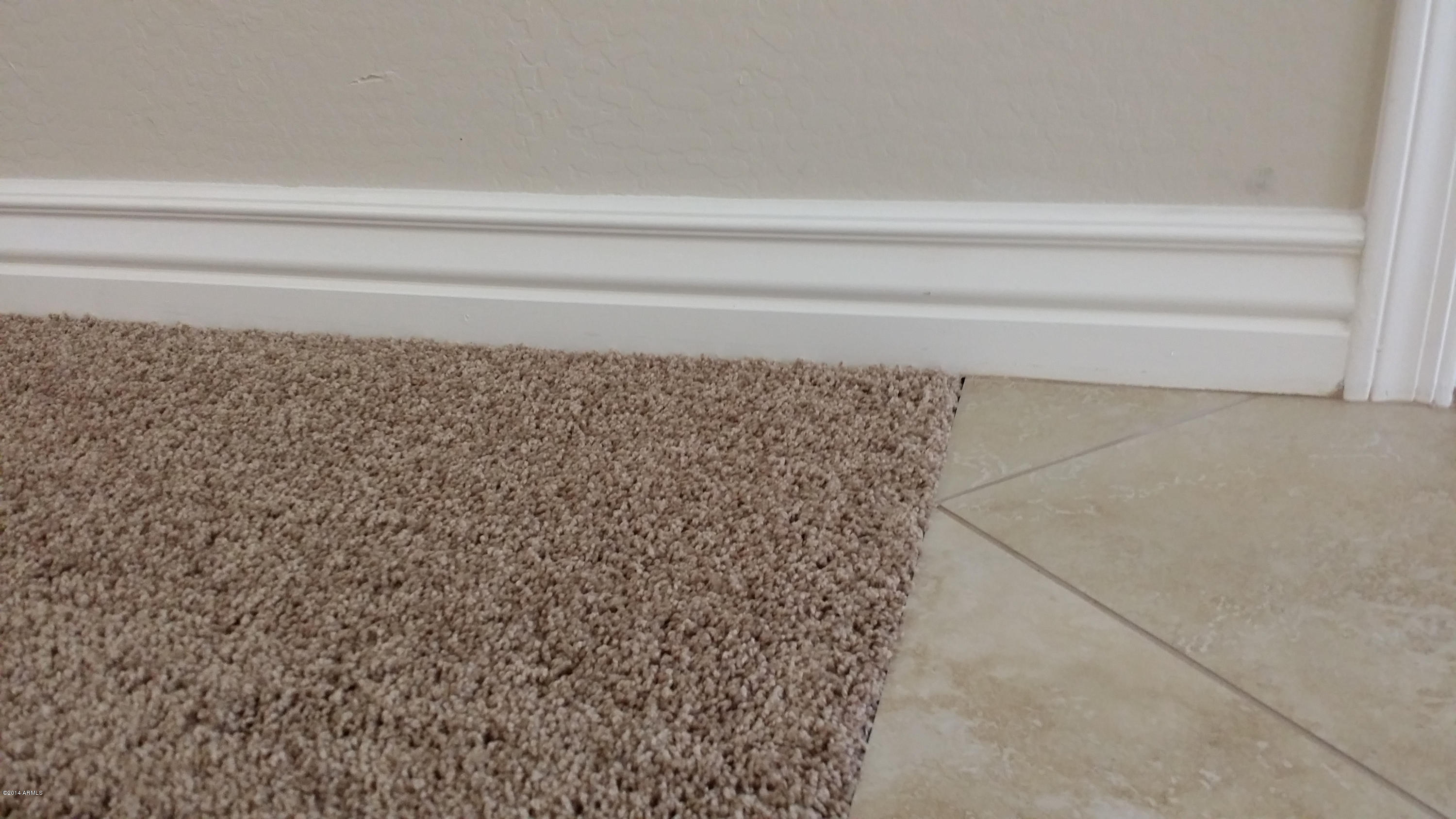 4625 East Murrieta Road Gilbert, AZ 85297 - Photo 17 of 83 New Carpet, Tile , and 4' Baseboards
