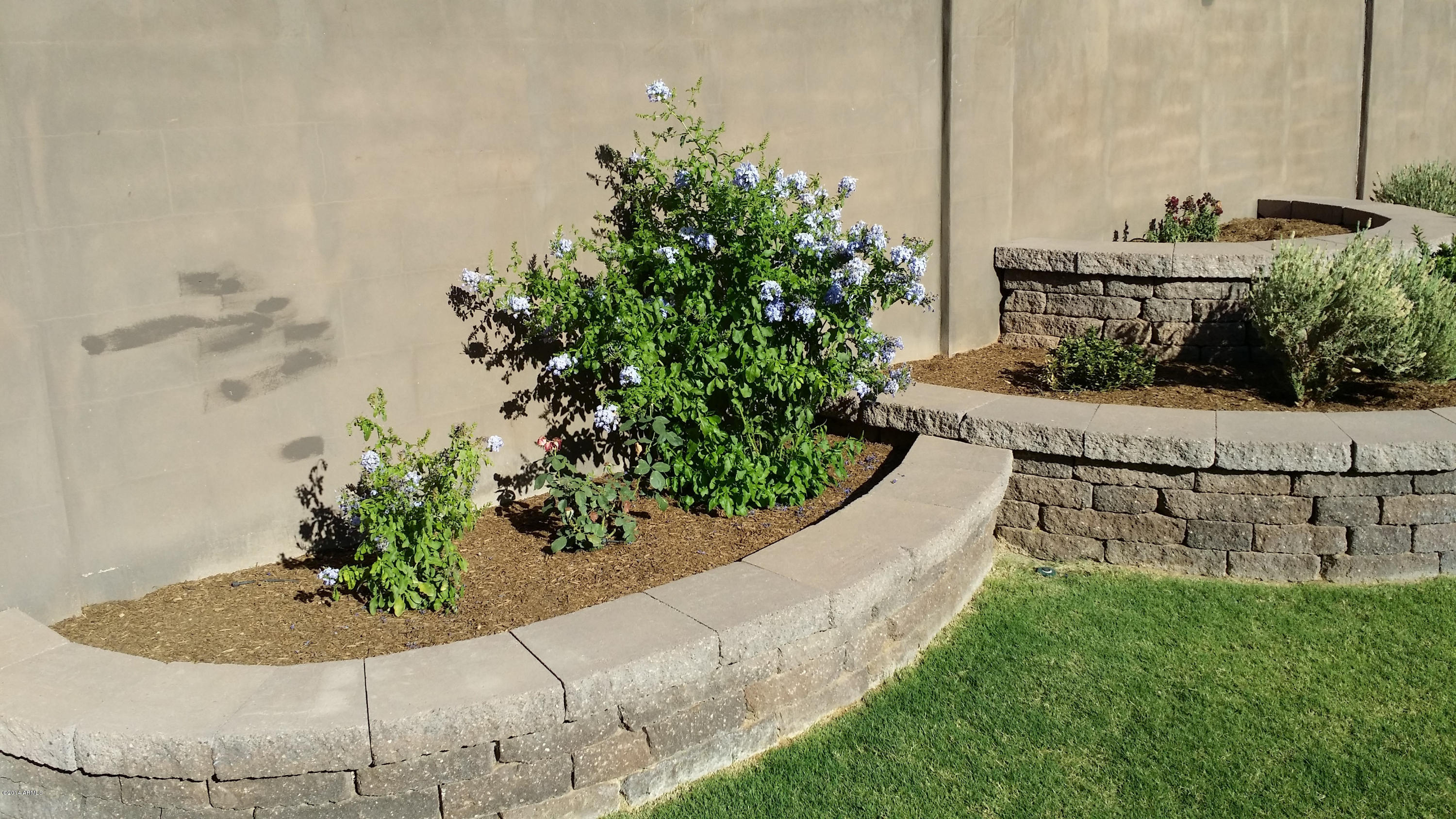 4625 East Murrieta Road Gilbert, AZ 85297 - Photo 77 of 83 Vibrant Floral Display Throughout
