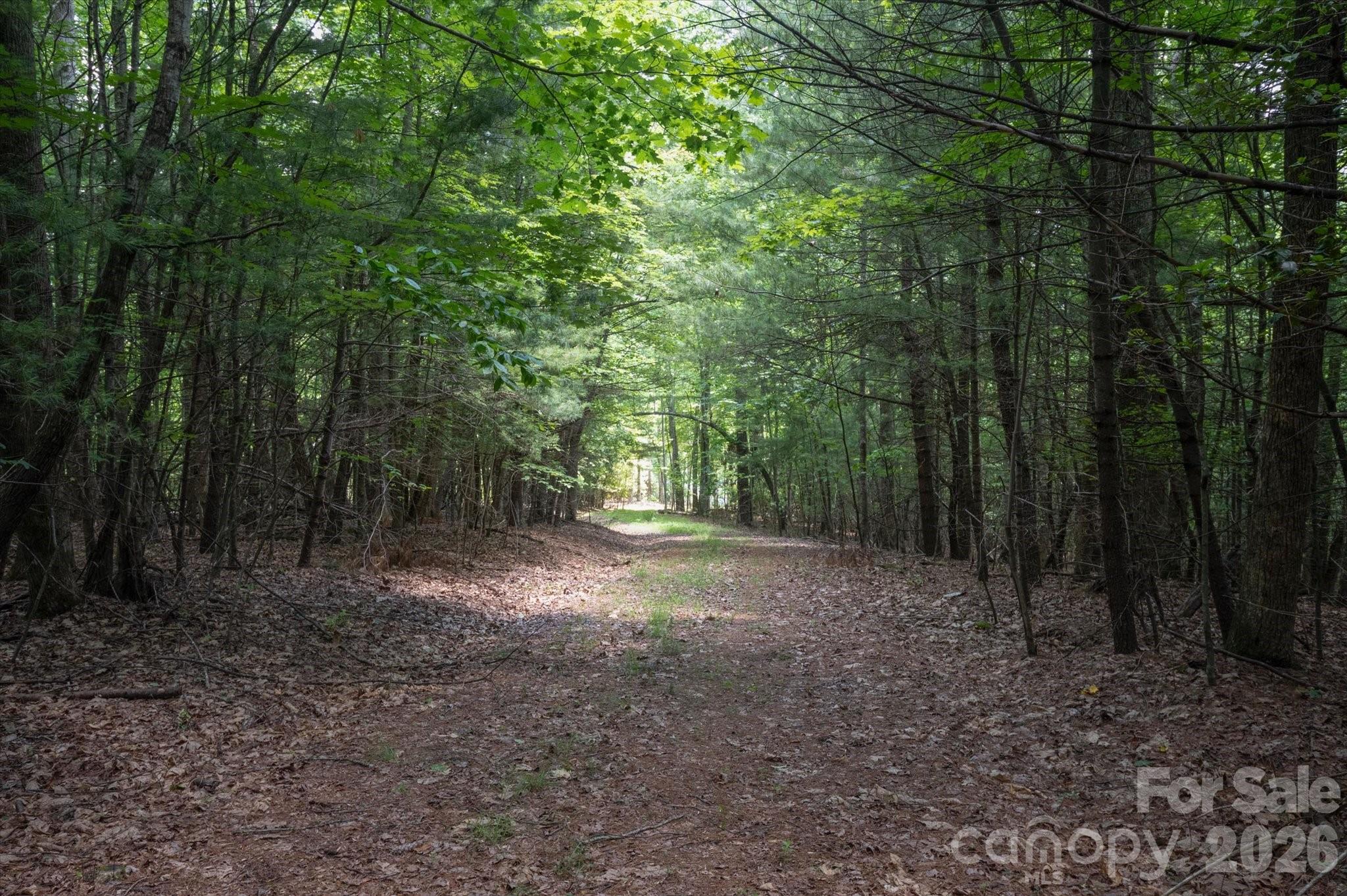 Tbd Reserve Road, Unit 16 Pisgah Forest, NC 28768 - Photo 6 of 18