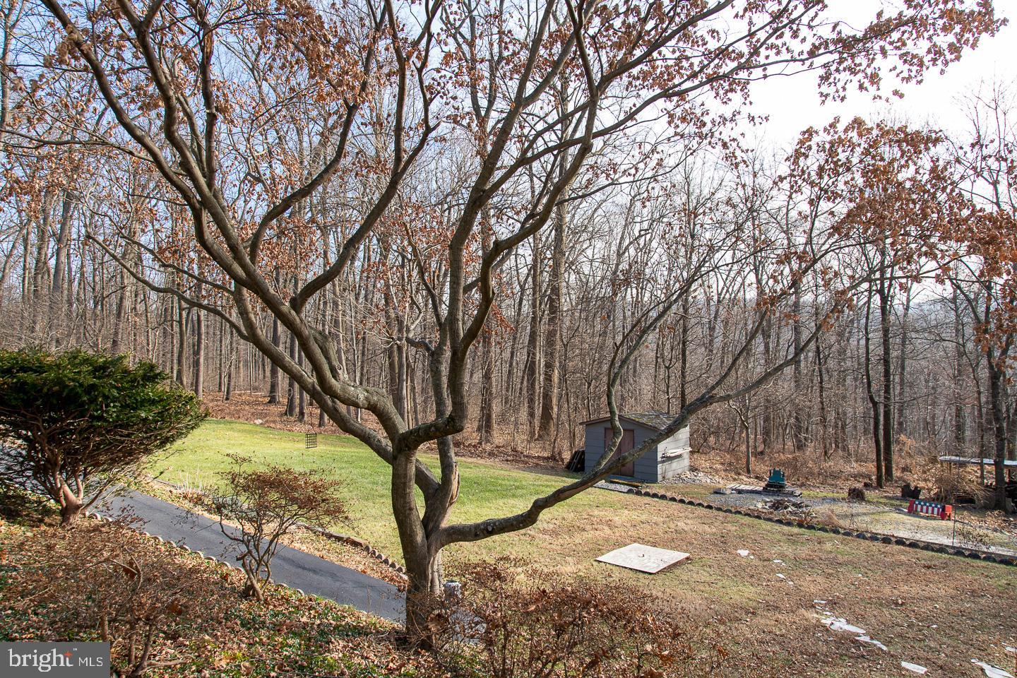 1738 Ramich Road Temple, PA 19560 - Photo 16 of 18