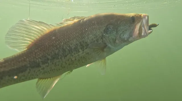 a close up of a shower