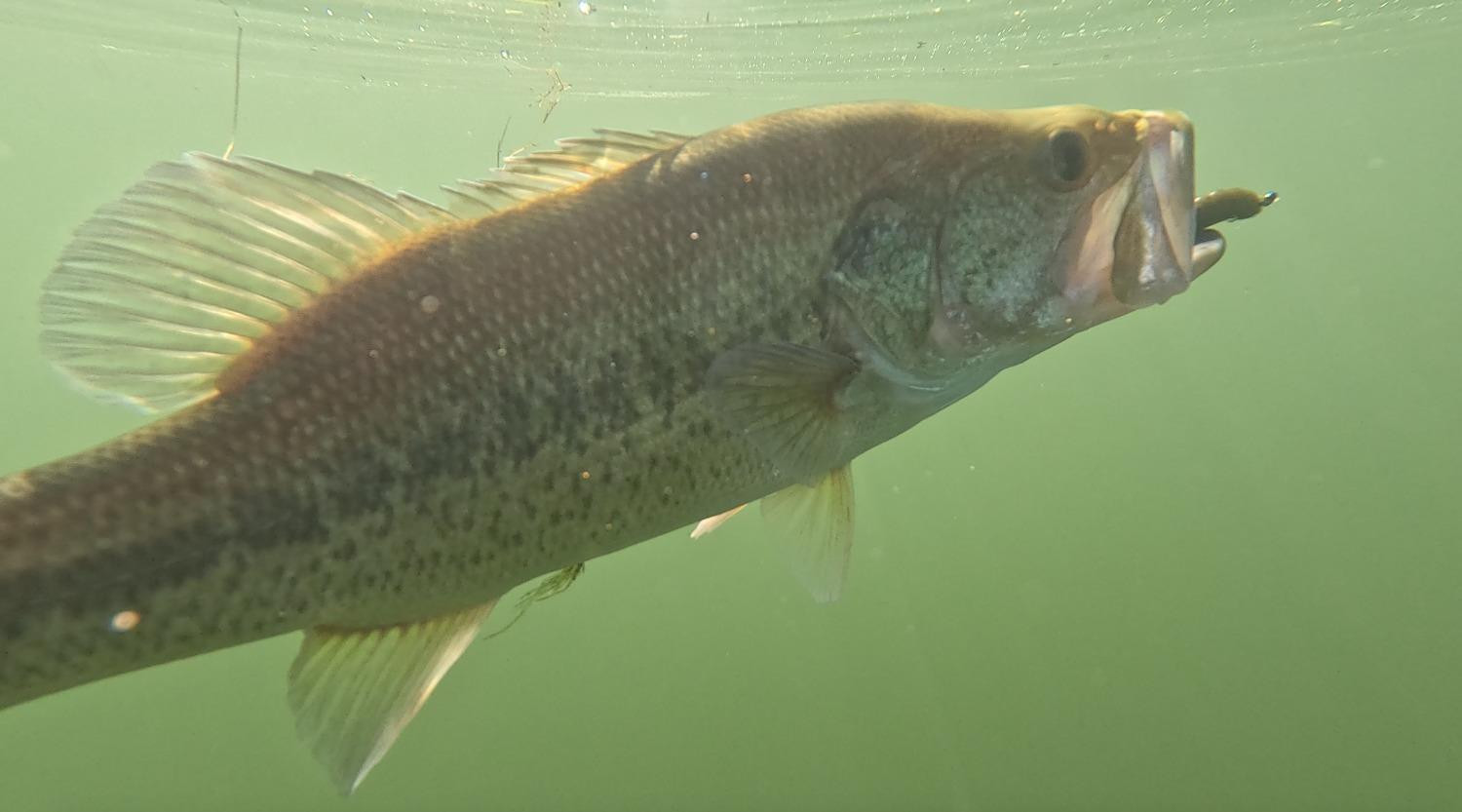 0 State Highway 256 Silverton, TX 79257 - Photo 12 of 47 a view of a lake from a balcony